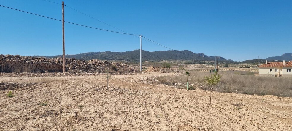 Terreno en Jumilla en venta - Foto del edificio - Imagen 2 de 8