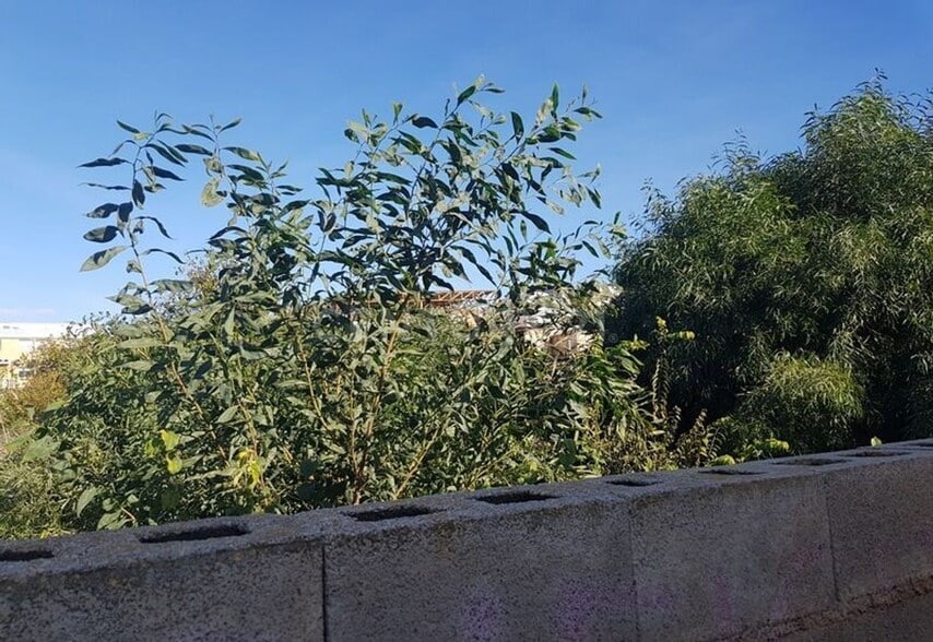 González, S/N, Murcia, Murcia en venta - Foto del edificio - Imagen 3 de 10