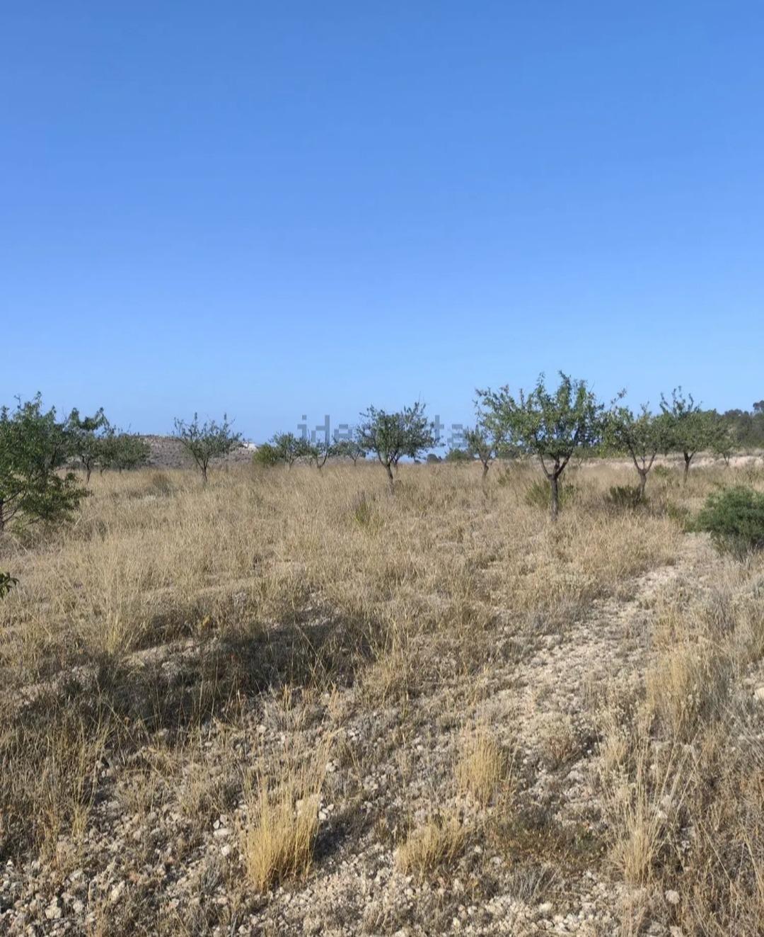 Terreno en La Romana en venta Plano del sitio- Imagen 1 de 5