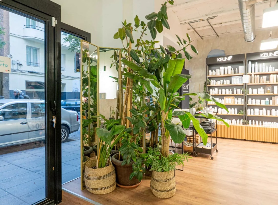 Local en Madrid, Madrid en alquiler Foto del interior- Imagen 1 de 5