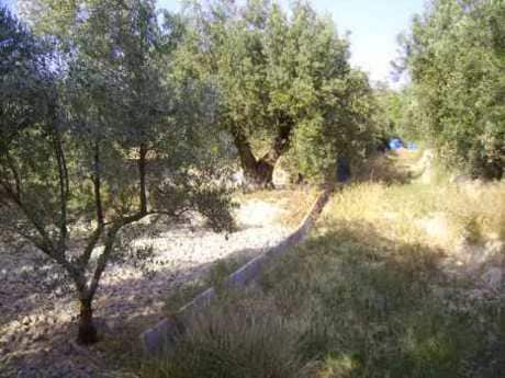 Terreno en Calasparra, Murcia en venta - Foto del edificio - Imagen 2 de 3