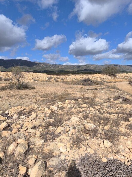 Sin Calle, PINOSO, Alicante en venta - Plano del sitio - Imagen 2 de 10