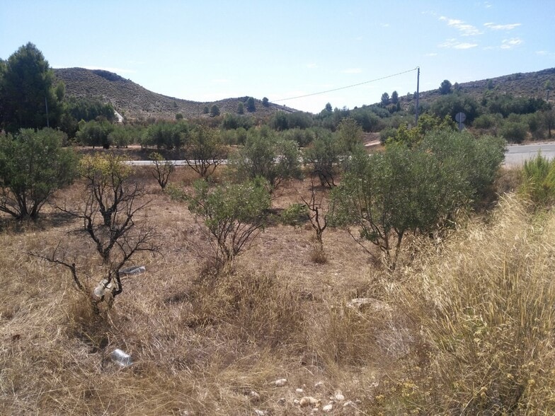 Terreno en Calasparra, Murcia en venta - Plano del sitio - Imagen 3 de 7