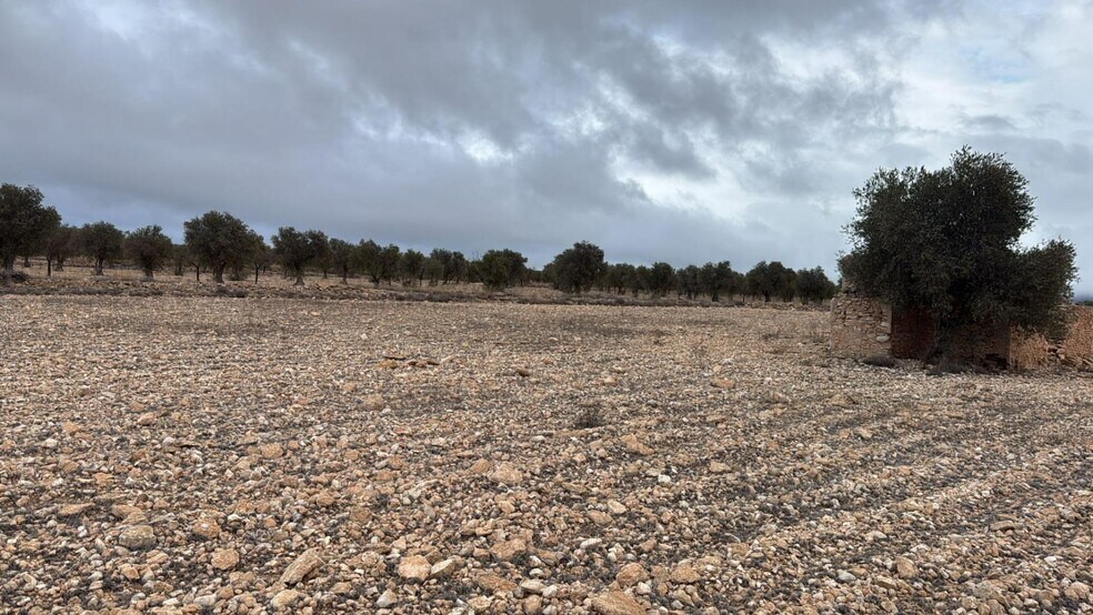Terreno en Yecla, Murcia en venta - Plano del sitio - Imagen 2 de 7