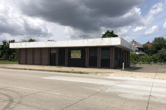 Más detalles para 8121 Gratiot Ave, Detroit, MI - Locales en venta