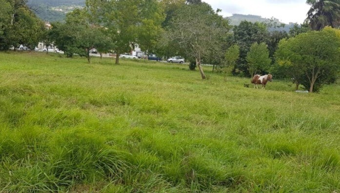 Calle Eloísa Fernández, 11A, Villaviciosa, Asturias en venta - Otros - Imagen 3 de 3