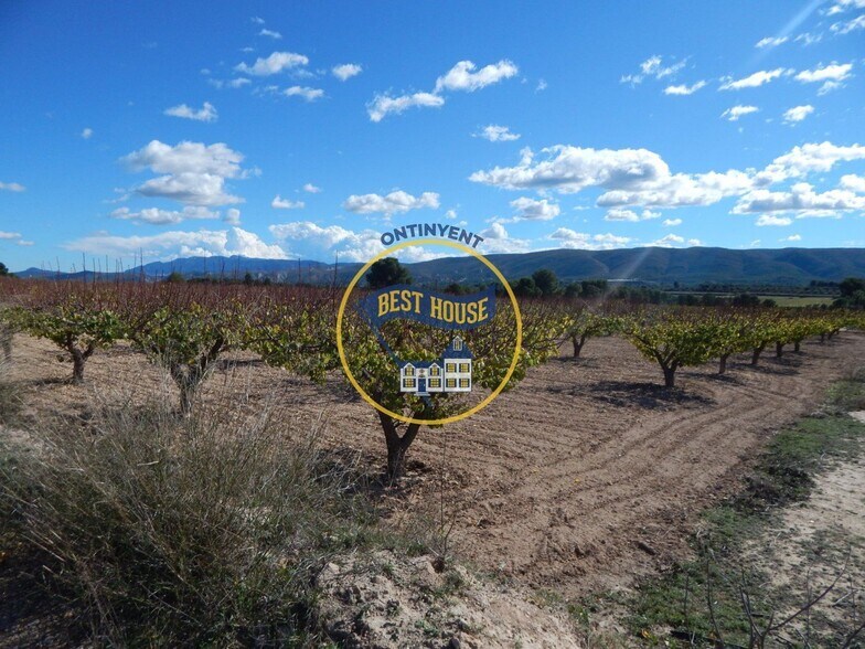 Terreno en Ontinyent en venta - Foto del edificio - Imagen 1 de 14