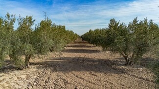 Más detalles de Parcela, 16, Crevillent - Terreno en venta