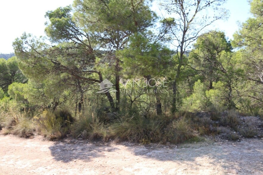 Terreno en MONÒVER, Alicante en venta - Foto principal - Imagen 2 de 23