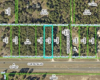 Más detalles para 0 Cortez Blvd, Weeki Wachee, FL - Terrenos en venta