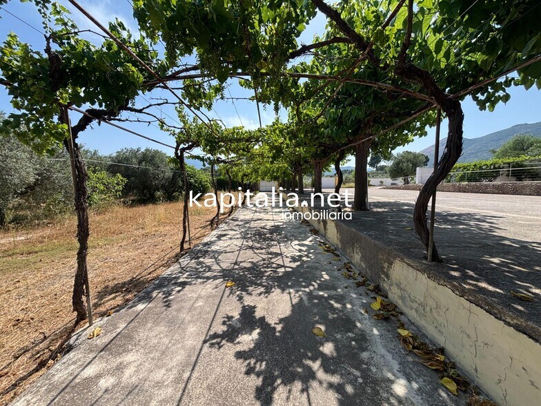 Local en Gaianes en venta - Foto del edificio - Imagen 3 de 45