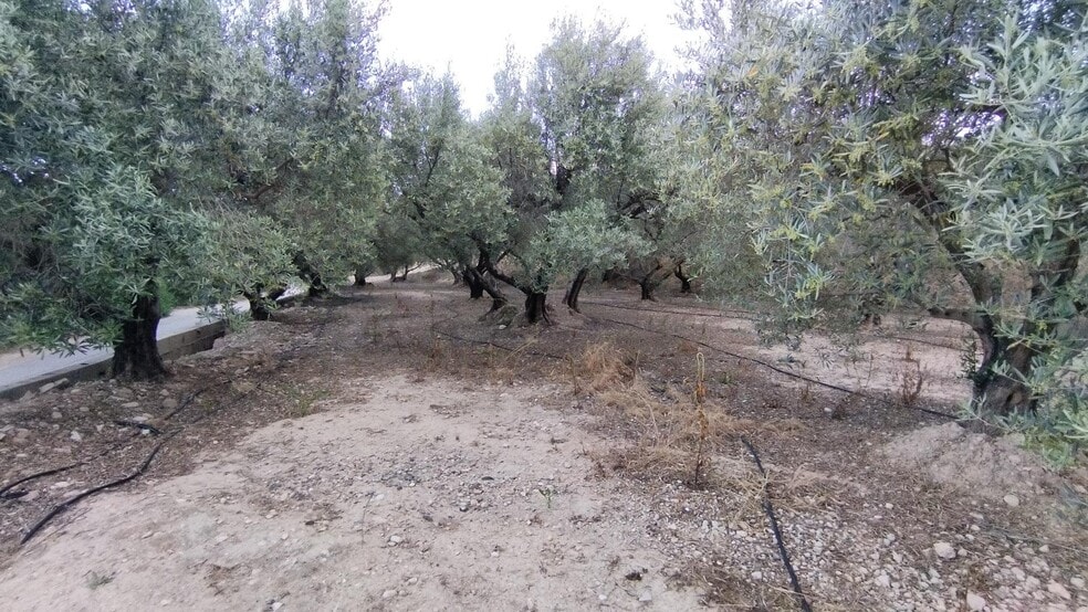 Terreno en Calasparra en venta - Foto del edificio - Imagen 2 de 16
