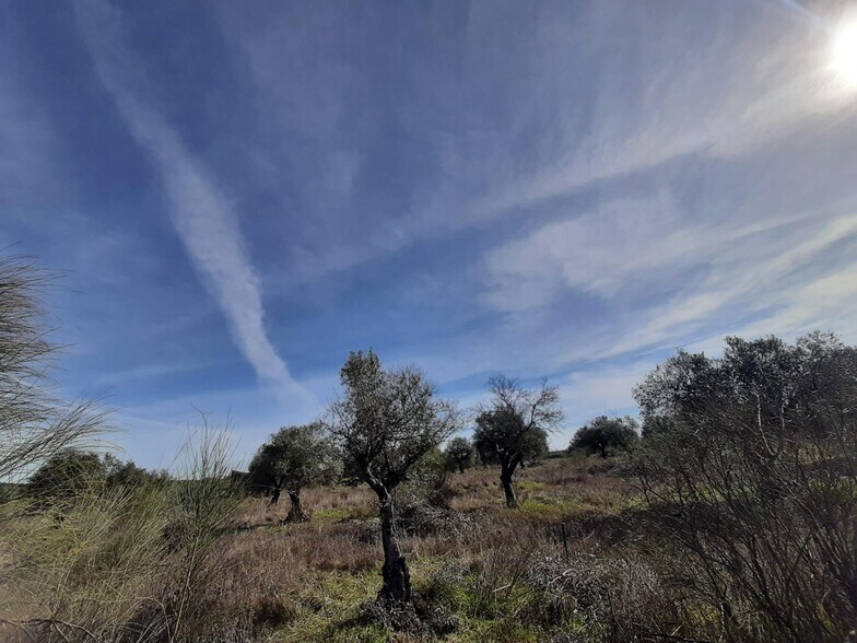Terreno en Cáceres, Cáceres en venta - Foto principal - Imagen 1 de 2