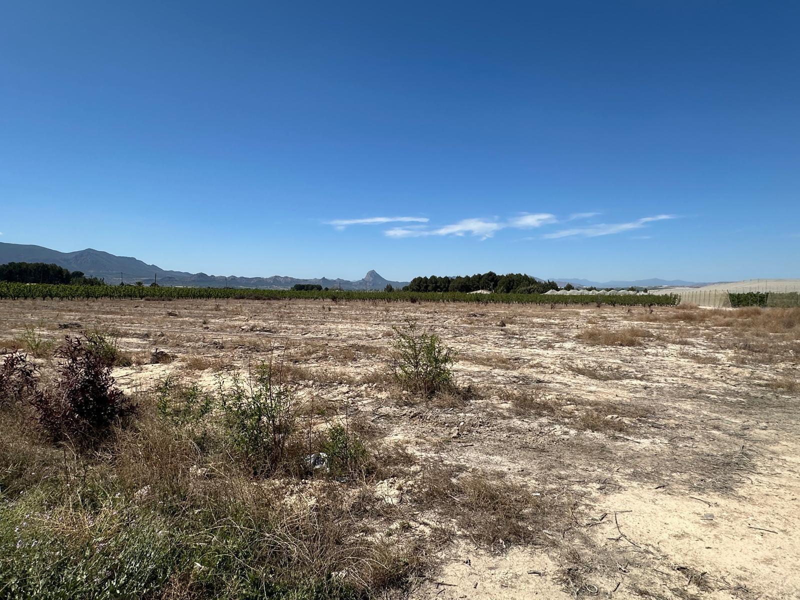 Terreno en Cieza, Murcia en venta Plano del sitio- Imagen 1 de 4