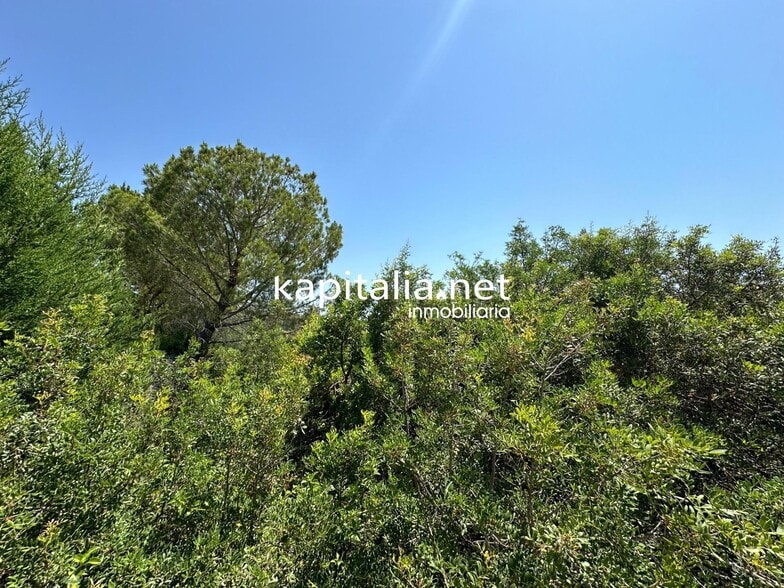 Terreno en Alberic, Valencia en venta - Foto principal - Imagen 3 de 4