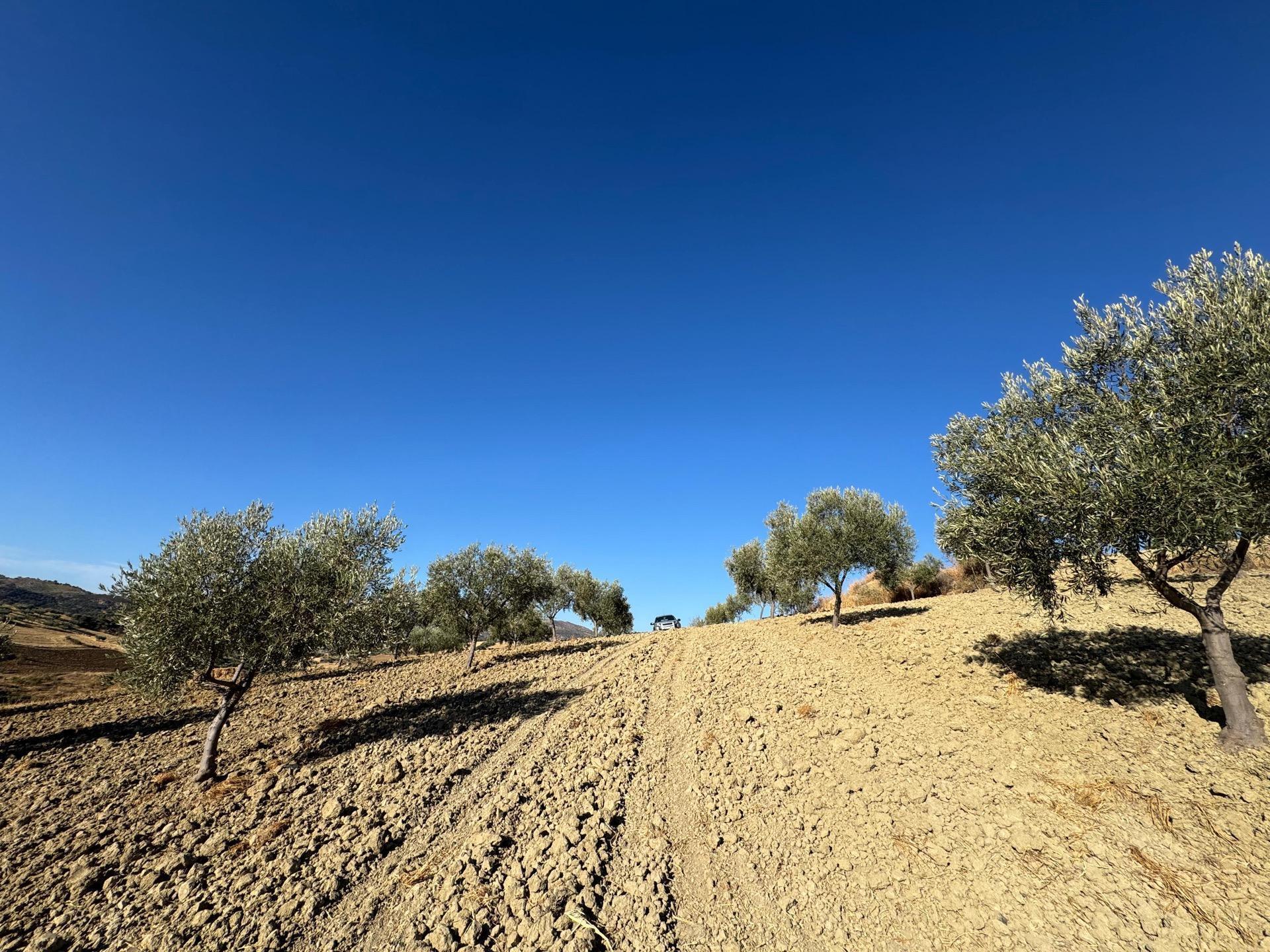Terreno en Casabermeja, Málaga en venta Vista aérea- Imagen 1 de 14
