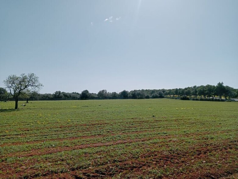 Terreno en Santanyí, Islas Baleares en venta - Vista aérea - Imagen 3 de 4