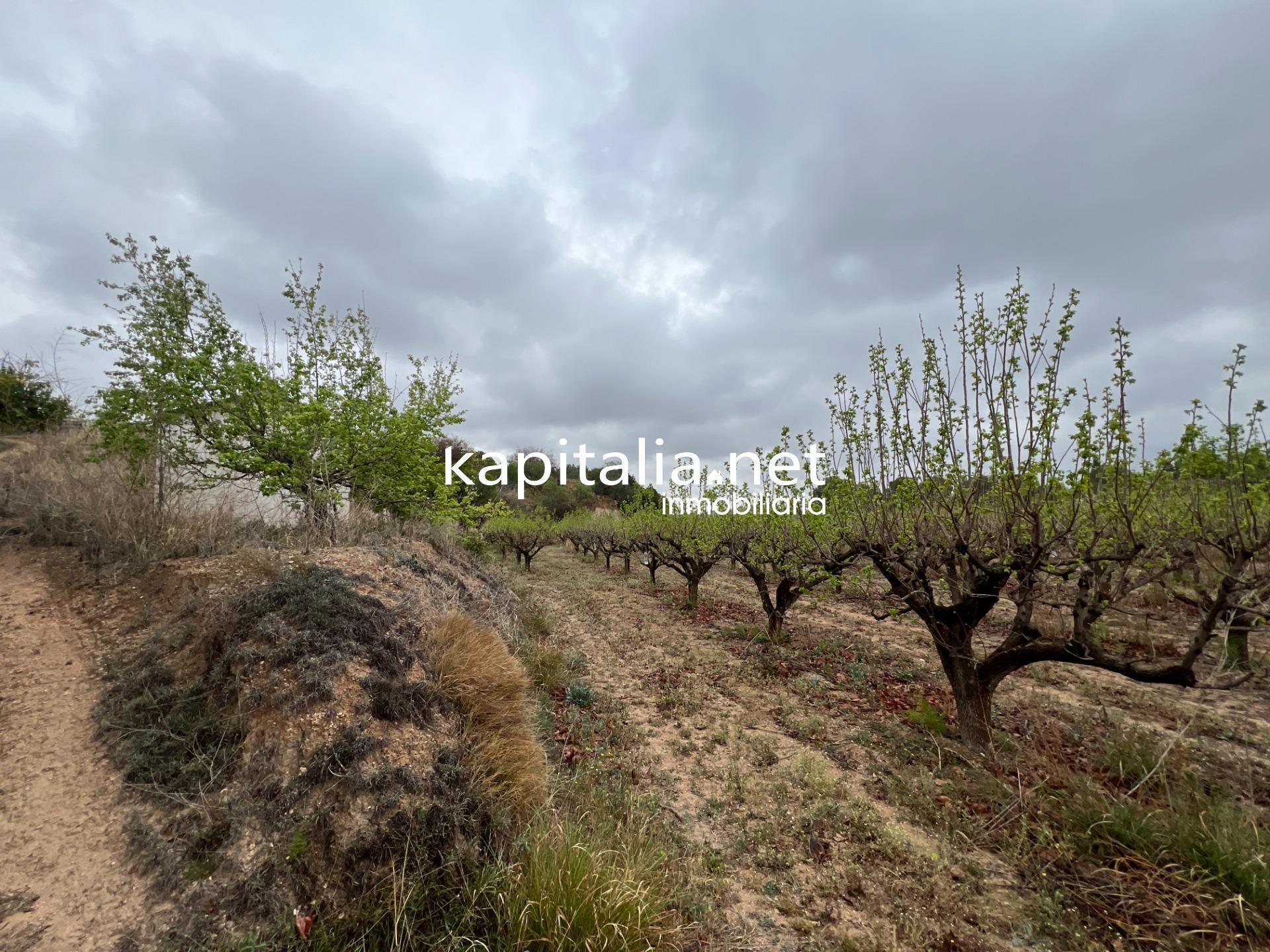 Terreno en Albaida, Valencia en venta Foto principal- Imagen 1 de 4