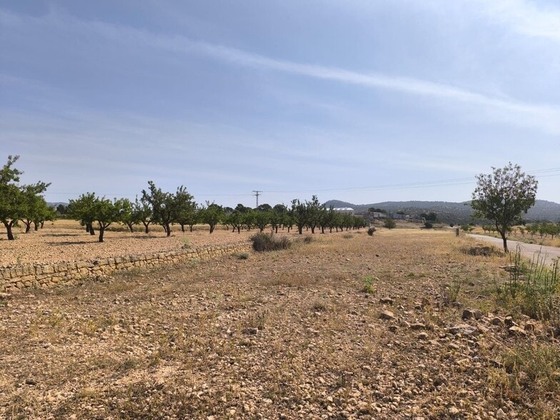 Terreno en MONÒVER, Alicante en venta - Foto principal - Imagen 3 de 8