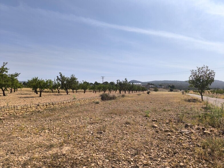 Terreno en MONÒVER, Alicante en venta - Foto principal - Imagen 3 de 8