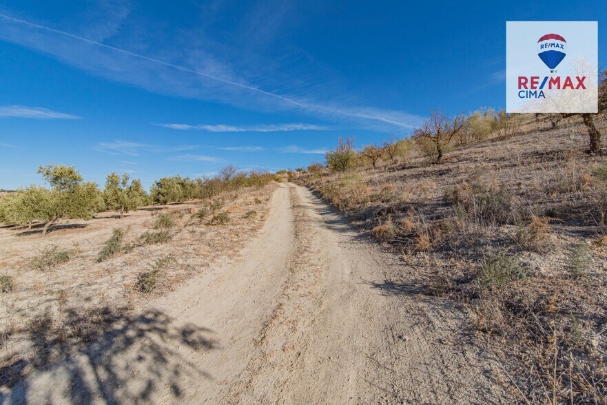 de Polígono Parcial, 2, Alhama de Granada, Granada en venta - Foto del edificio - Imagen 2 de 55