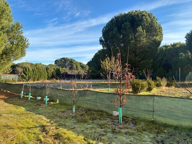 Más detalles de Lugar Común Viejo, 2, Aldeamayor de San Martín - Terreno en venta