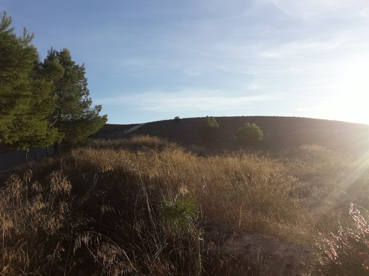 Terreno en Aspe, Alicante en venta Vista aérea- Imagen 1 de 5