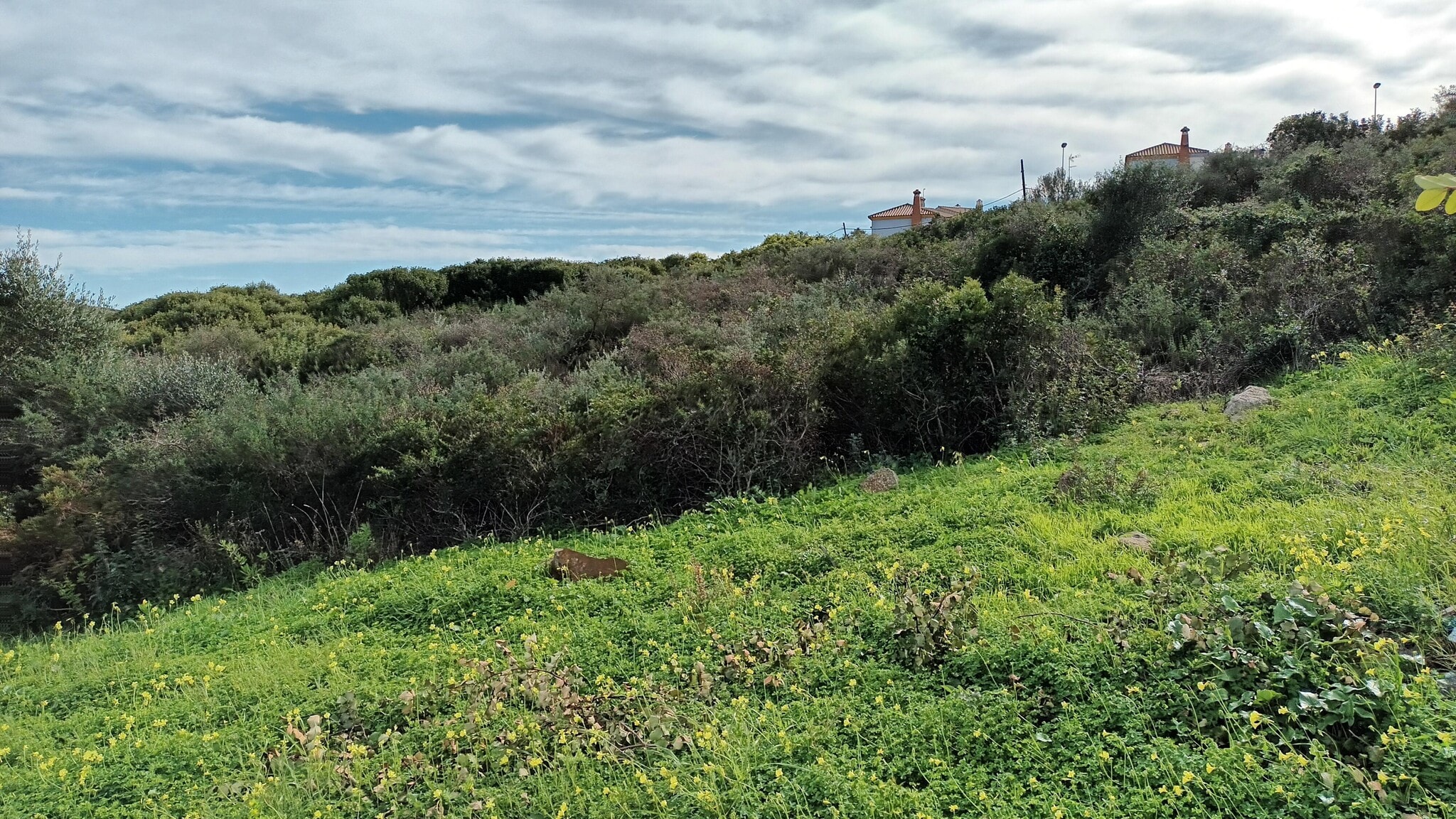 Terreno en La Línea de la Concepción, Cádiz en alquiler Foto del edificio- Imagen 1 de 10