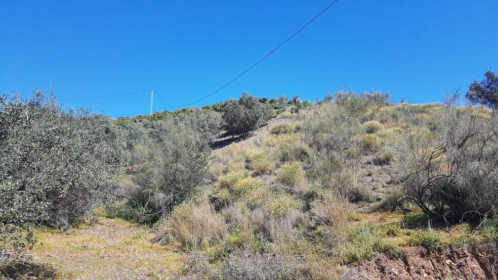 los, Vélez-Málaga, Málaga en venta - Plano del sitio - Imagen 1 de 11