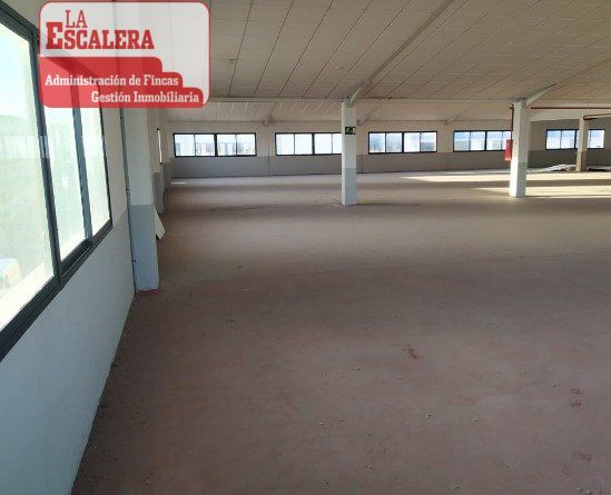 Elche, ALI 03206 - Unidad C1 -  - Foto del interior - Image 1 of 4