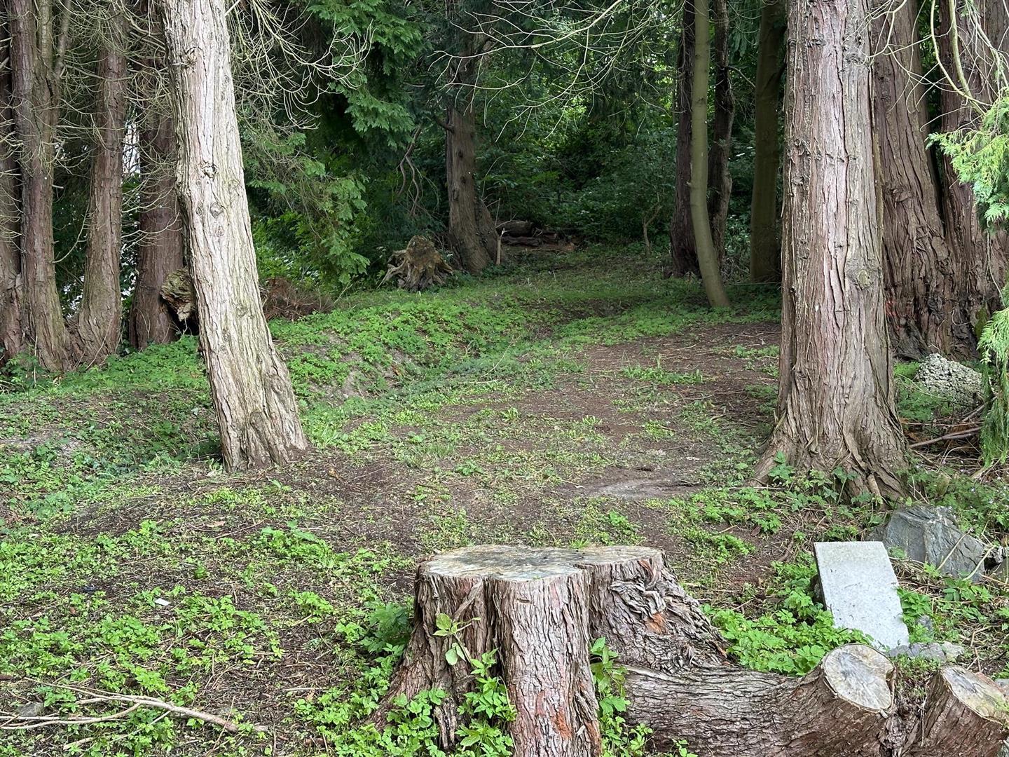 1 Heronhill Close, Hawick en venta Otros- Imagen 1 de 7