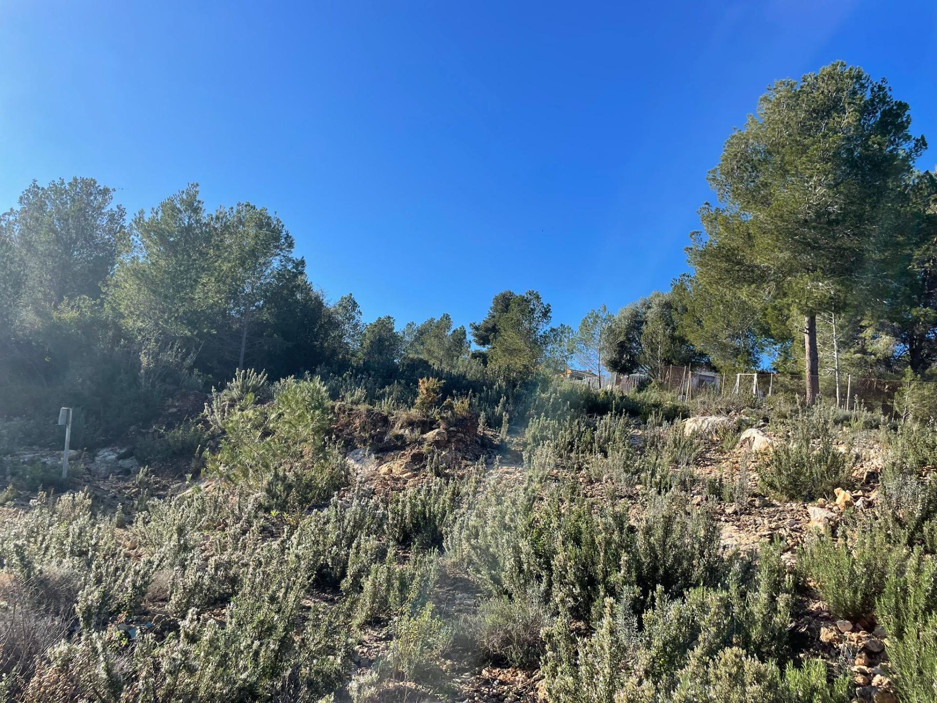 Terreno en Godelleta, Valencia en venta Plano del sitio- Imagen 1 de 22