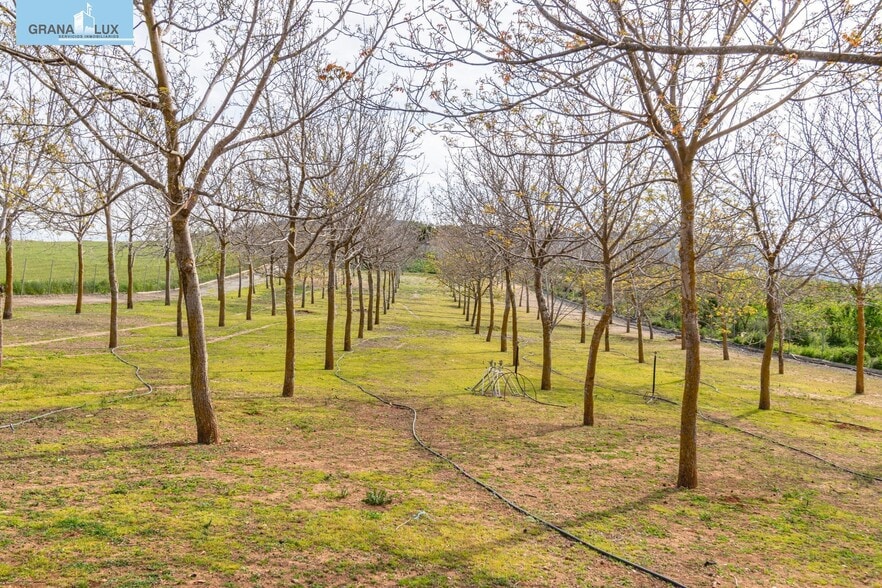 Terreno en Padul en venta - Foto del edificio - Imagen 2 de 50