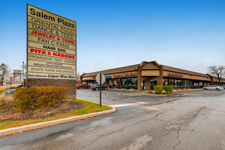 Más detalles para 1049-1093 N Salem Dr, Schaumburg, IL - Local en alquiler