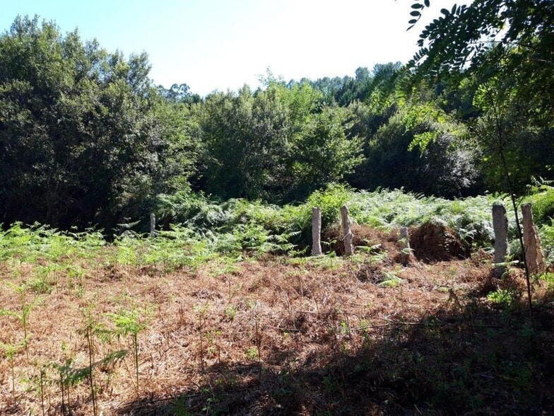 Polígono Das Gándaras, 8, O Porriño, Pontevedra en venta - Plano del sitio - Imagen 2 de 4