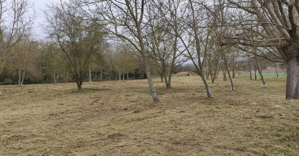 Terreno en Tona, Barcelona en venta - Foto de la construcción - Imagen 2 de 4