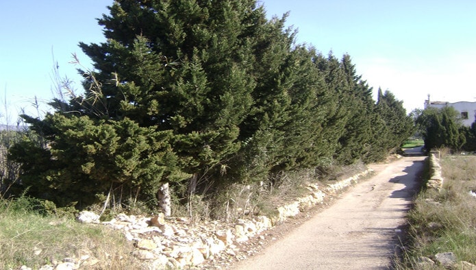 Terreno en Torredembarra, Tarragona en venta - Foto de la construcción - Imagen 3 de 4