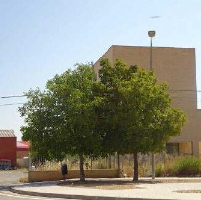 Terreno en Almazán, Soria en venta - Foto del interior - Imagen 2 de 2