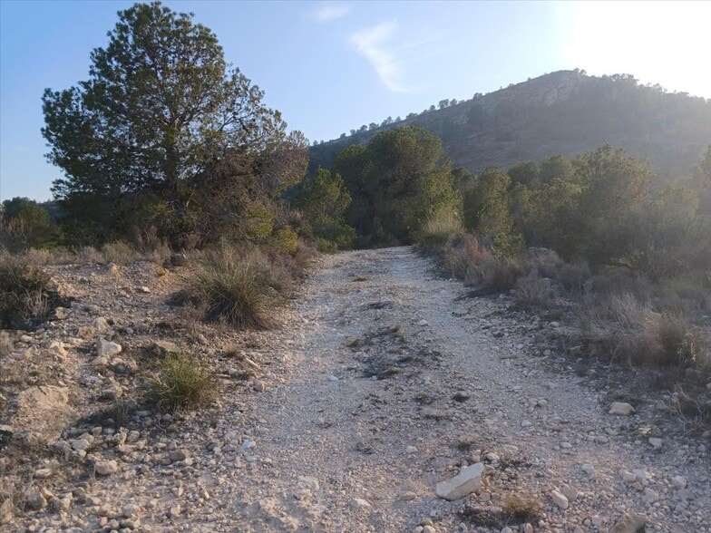 Proc. Simplificado, MONÒVER, Alicante en venta - Foto principal - Imagen 1 de 20