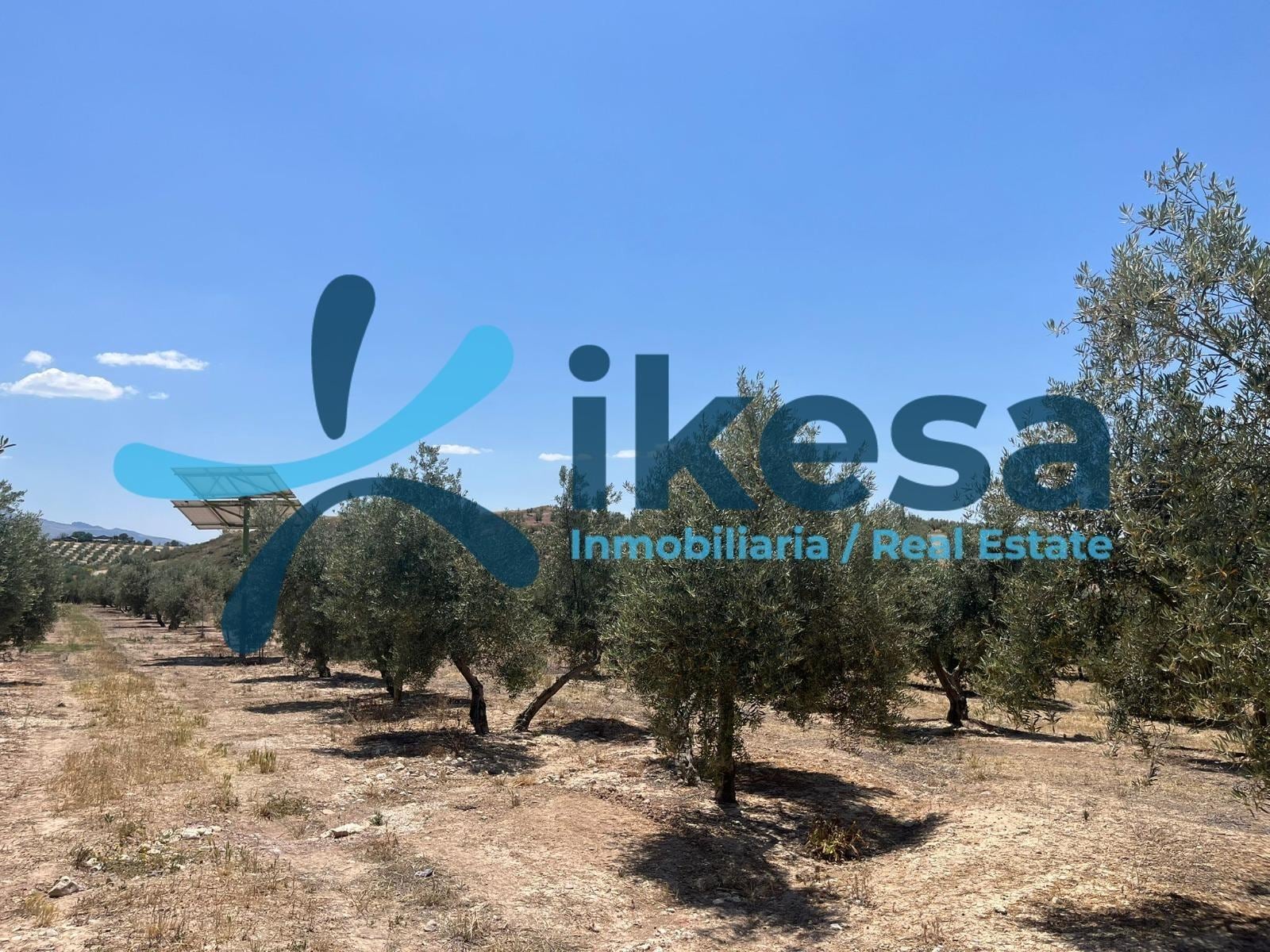 Terreno en Peal de Becerro en venta Foto del edificio- Imagen 1 de 4