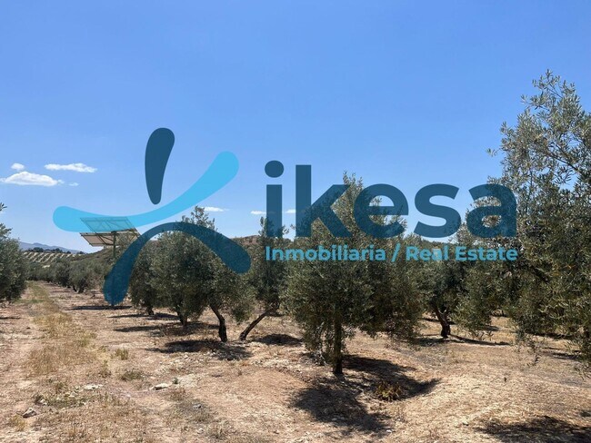 Más detalles de Terreno en venta