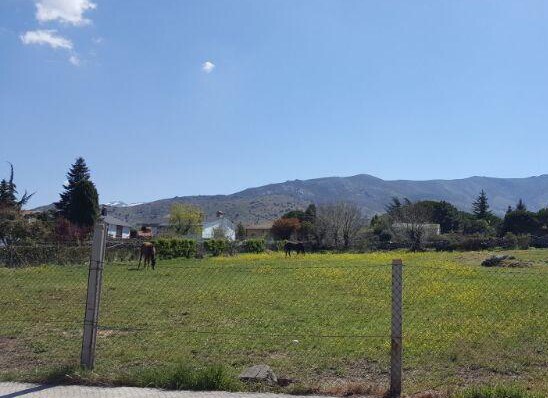 Más detalles de Terreno en venta