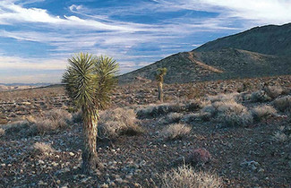 Más detalles para E Black Mountain Pky, Cave Creek, AZ - Terrenos en venta