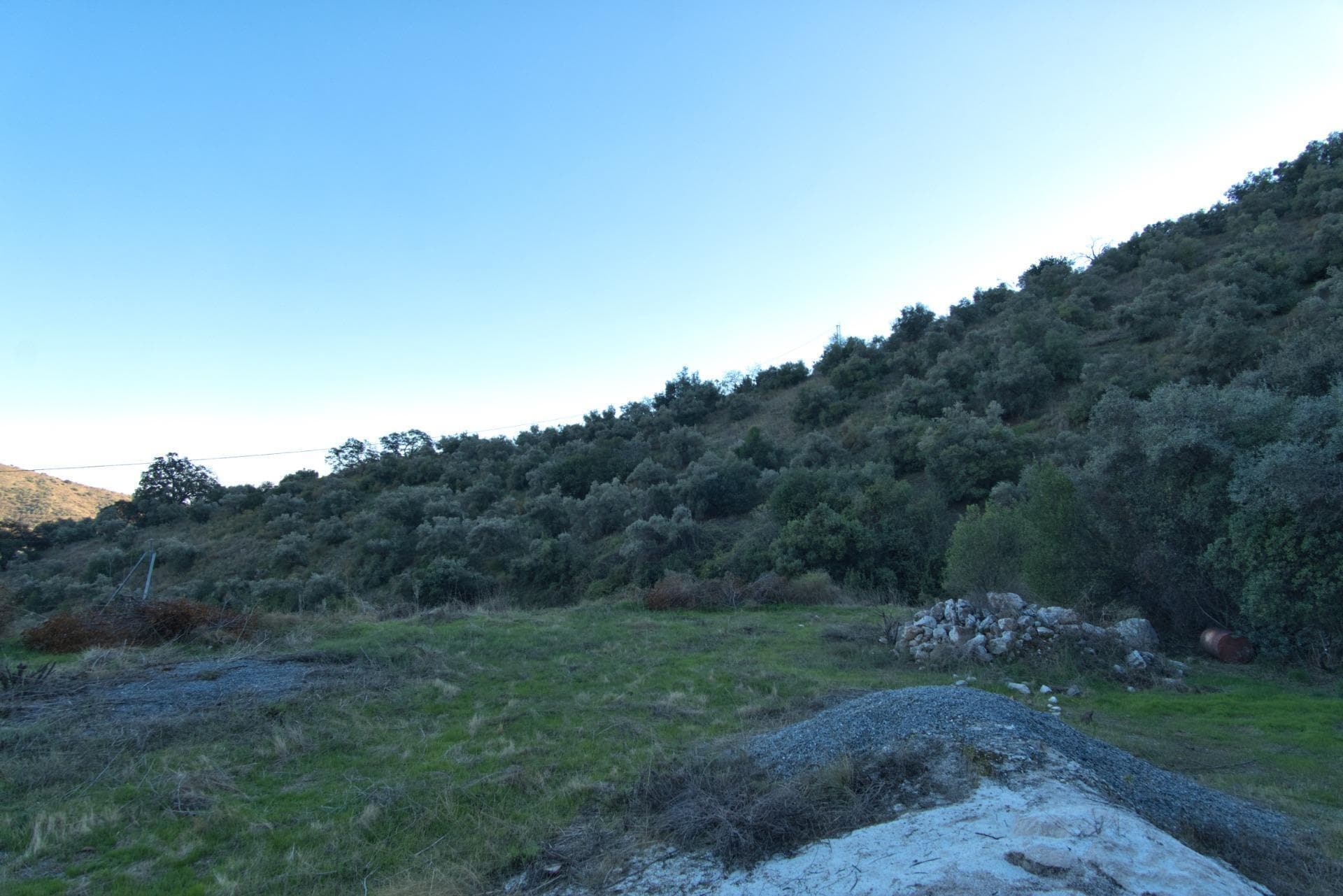 Terreno en OLÍAS DEL REY en venta Foto del edificio- Imagen 1 de 23