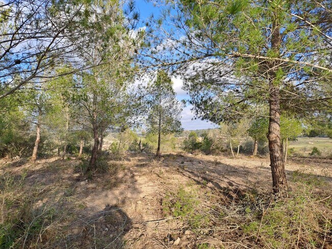 Más detalles de Terreno en venta