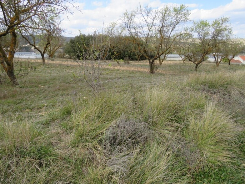 Terreno en Ontinyent, Valencia en venta - Foto principal - Imagen 3 de 9