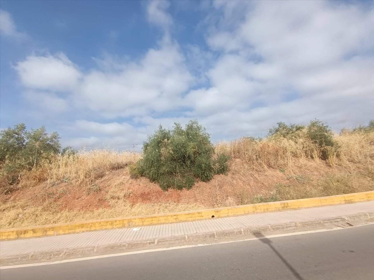 Camino de Ronda, Villafranca de Córdoba, Córdoba en venta Foto principal- Imagen 1 de 24