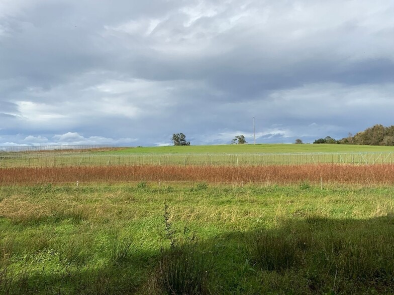 Canedo, S/N, Valdés, Asturias en venta - Vista aérea - Imagen 1 de 6