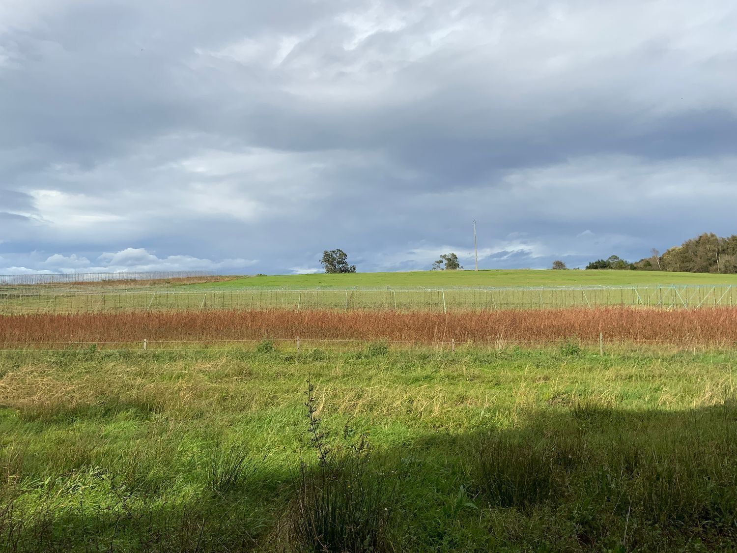 Canedo, S/N, Valdés, Asturias en venta Vista aérea- Imagen 1 de 7