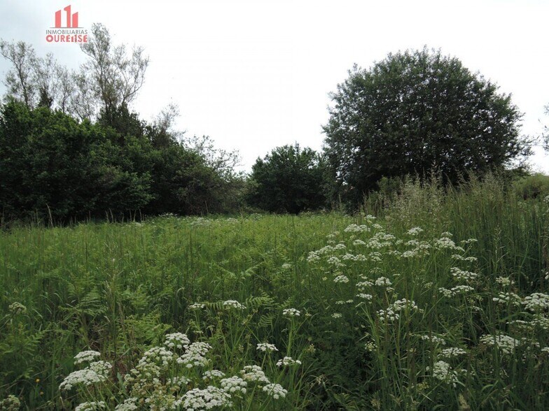 Terreno en Amoeiro, Orense en venta - Foto principal - Imagen 3 de 6